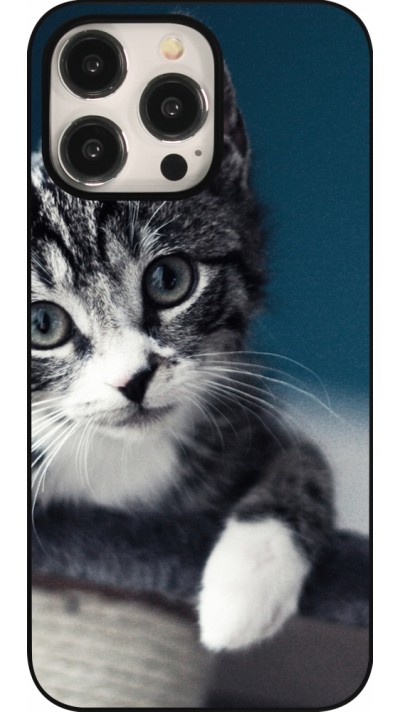 iPhone 16 Pro Max Case Hülle - Meow 23